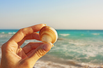 Seashell beach hand, Hand with shell on sea background