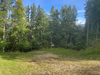 Ballade dans le vercors &agrave; Villard de lans en france