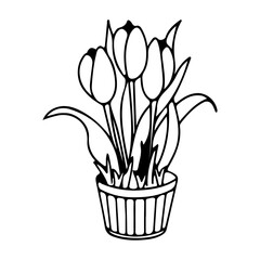 bouquet of tulips in a vase