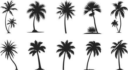 Palm tree silhouette set, tropical flora icons, curved trunk, feather leaves, black vector, nature graphic, exotic plant design