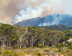 Smoky wildfire over a hillside forest