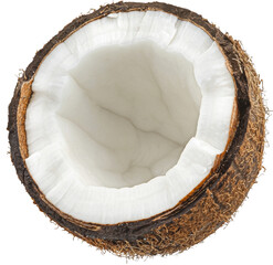 Coconut on white background