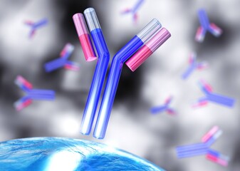 antibody, immunoglobulin, Y-shaped protein produced mainly by plasma cells,   3d rendering