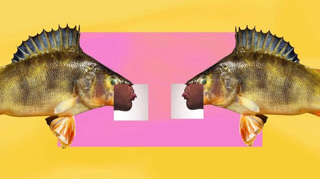 Quirky animation. Two fish with human lips sticking tongues out on pink and yellow background. Concept of communication, conflict, dialogue, relationships and surreal emotional interaction.