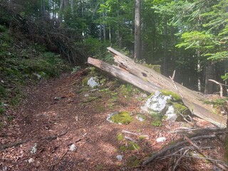 Ballade dans le vercors &agrave; Villard de lans en france