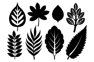 set of collection of various leaf silhouettes,various leaf  icon set