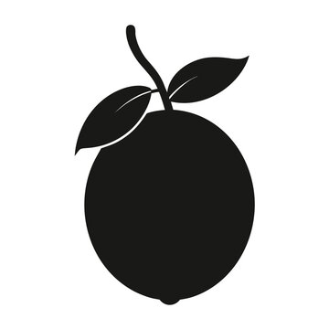 barbadine-fruit-silhouette-on-white-background