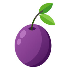 beach-plum-fruit-on-white-background