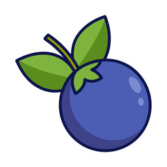 vector illustration of a bilberry fruit