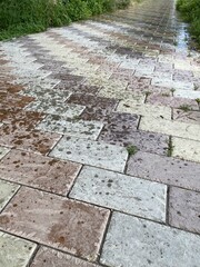 Paving slabs paved the road