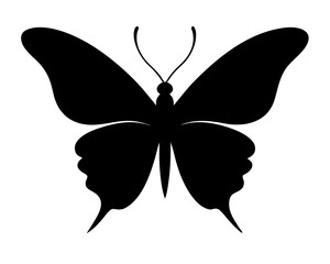 butterfly simple  silhouette vector,butterfly  icon