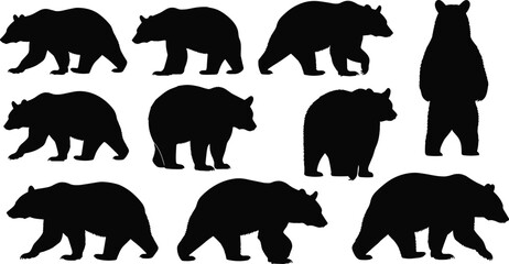 Silhouette collection of wild bears in various poses, walking, standing, roaring, wildlife animal shapes for nature, forest, and outdoor design