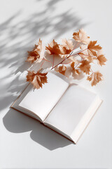 흰색 책 위로 흩날린 낙엽