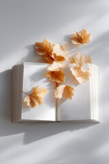 책과 가을 낙엽 장식