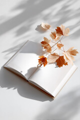 흰색 책과 그림자 낙엽 연출