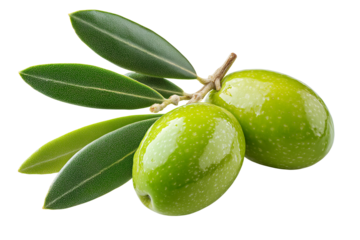 Green olives with leaves closeup