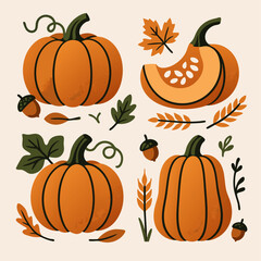 Hand Drawn Pumpkin Set for Thanksgiving, Halloween, and Fall Decoration
