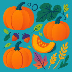 Orange Pumpkin Illustration Bundle for Fall Holiday and Seasonal Design