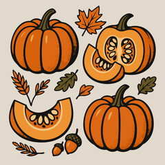 Autumn Season Pumpkin Collection with Leaves, Acorns, and Harvest Symbols