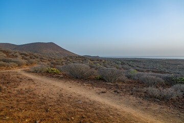 Expansive arid landscape in Tenerife with a dirt path winding through sparse vegetation towards the distant ocean and a volcanic peak