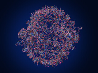 UCC118 Rool RNA (hexameric RNA). Stable RNA-based therapeutics.