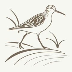 Vector art of a graceful line art illustration of a sandpiper wading through tall grass, , perfect for naturethemed designs, educational materials, or coastalinspired projects
