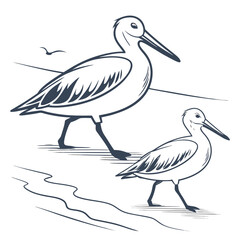 Vector art of a captivating line art illustration featuring two blacknecked stilts wading near the waters edge, , ideal for naturethemed designs and educational projects