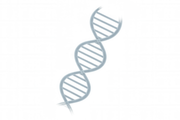 Rotating translucent dna double helix on transparent background, ideal for science, biology, and medical presentations