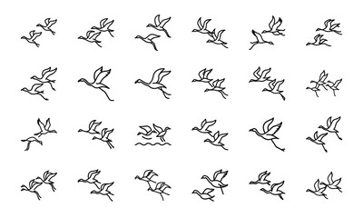 Set of Simple Bird Line Drawings – Black and White Outline Illustrations of Chickens, Ducks, Flamingos, Pigeons, and Farm Birds