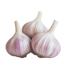 Three Fresh Organic Garlic Bulbs Isolated Raw Culinary Spice Ingredient Healthy Food Preparation and Cooking