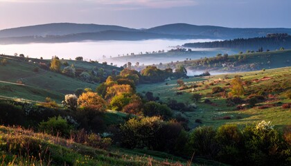 Obraz premium spring landscape with some fog in golden morning light