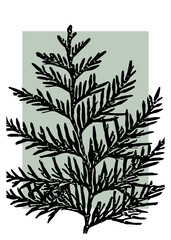 Cypress leaf silhouette with natural botanical foliage design, ideal as floral artwork background for poster, printable, card, banner, or aesthetic decor. Perfect for branding and packaging.