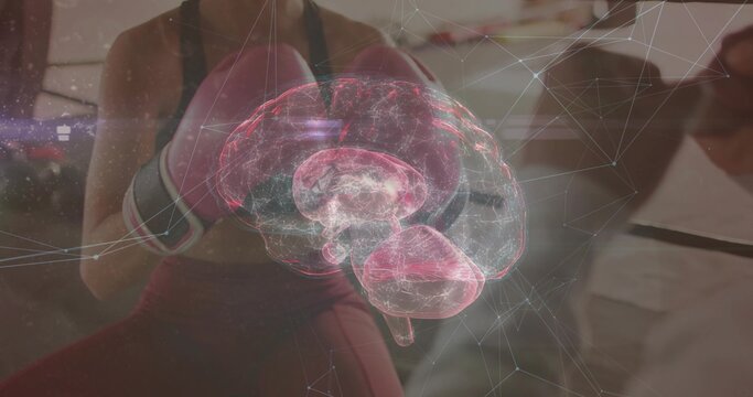 Floating holographic brain over ring, with mesh overlay and pink-gloved female boxer punching mitts - Powered by Adobe
