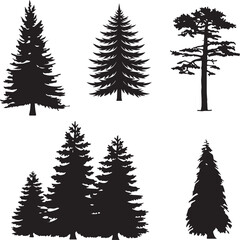 Obraz premium set of trees