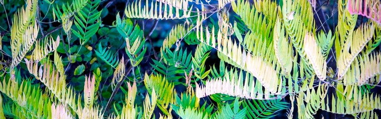abstract colorful background