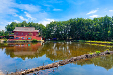 A hut on the edge of a fish pond