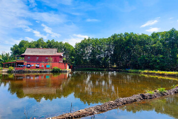A hut on the edge of a fish pond