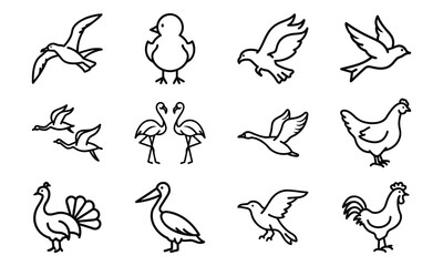 Set of Simple Bird Line Drawings – Black and White Outline Illustrations of Chickens, Ducks, Flamingos, Pigeons, and Farm Birds