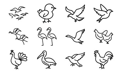 Fototapeta premium Set of Simple Bird Line Drawings – Black and White Outline Illustrations of Chickens, Ducks, Flamingos, Pigeons, and Farm Birds