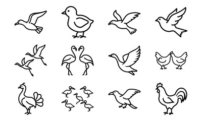 Naklejka premium Set of Simple Bird Line Drawings – Black and White Outline Illustrations of Chickens, Ducks, Flamingos, Pigeons, and Farm Birds