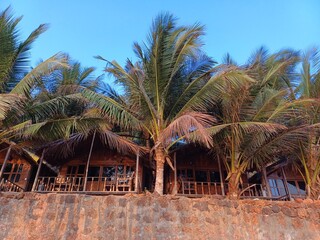beach hut in Goa beach, cola beach, palm trees on the beach.