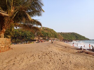 tropical beach with palm trees and umbrellas