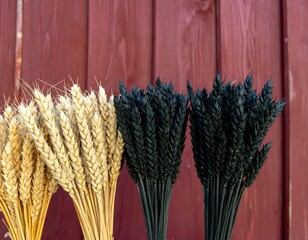 Wheat bundles against a wooden wall