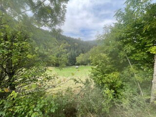 Ballade dans le vercors &agrave; Villard de lans en france