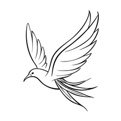 Fototapeta premium vector illustration of a dove