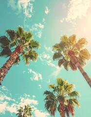 Palm trees reach high against a pastel blue sky with soft, wispy clouds, bathed in the warm glow of sunlight