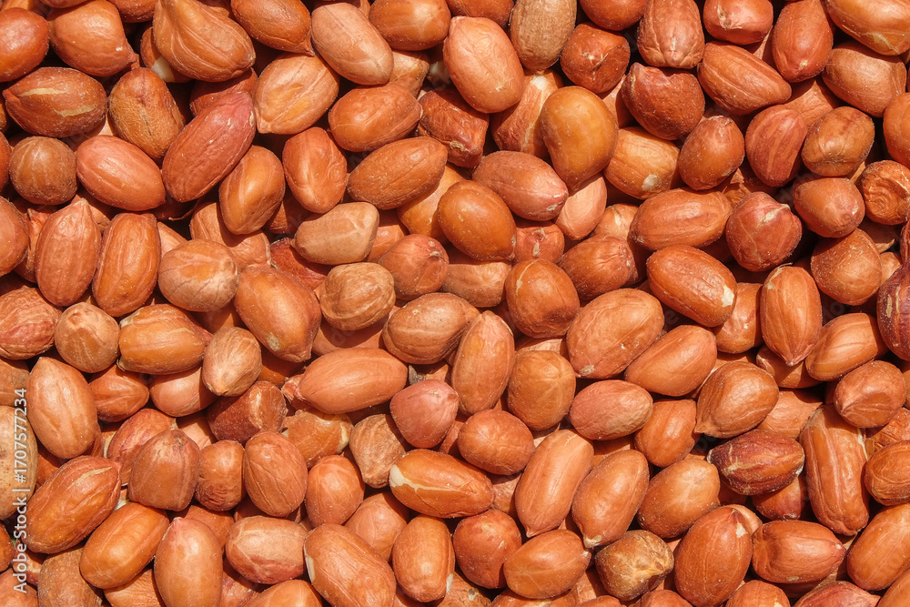 Poster background pattern and texture of a collection of brown shelled peanuts. for graphic design, 3d rend