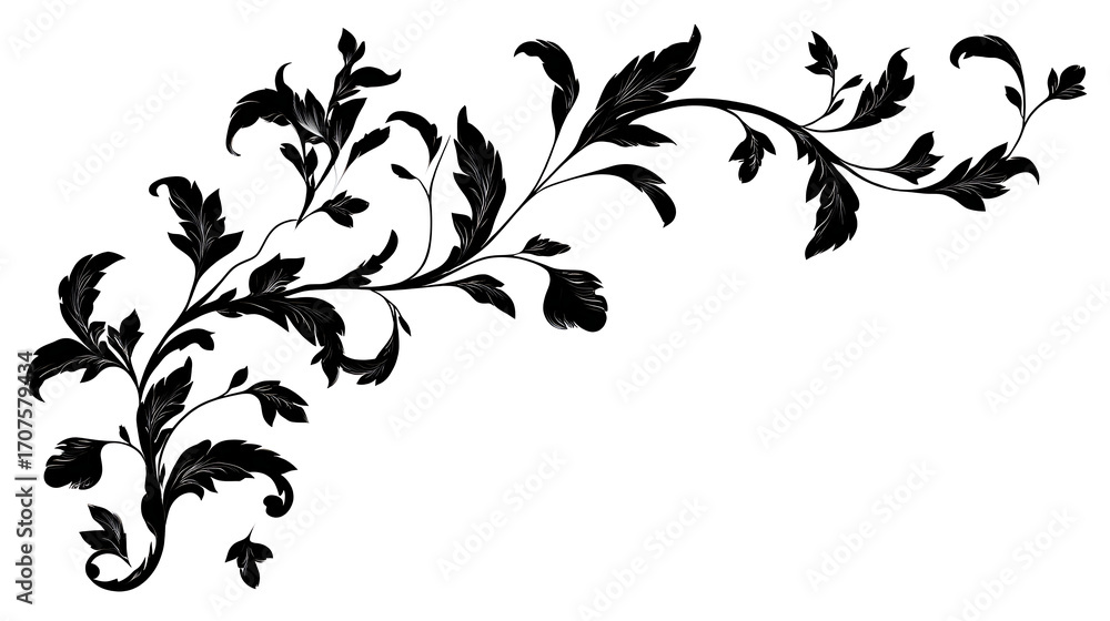 Poster elegant symmetrical vector border with swirls and floral elements in black line art, isolated on whi