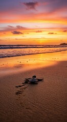 Sunset Sea Turtle: A baby sea turtle embarks on its first journey towards the ocean, under a sky painted with the fiery hues of sunset, symbolizing new beginnings.