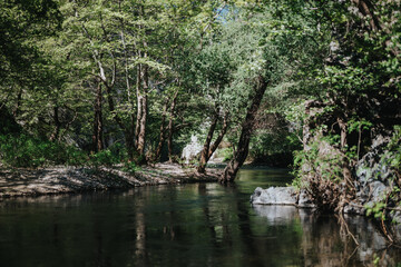 Beautiful view of a tranquil river surrounded by lush green trees in sunlight, creating a peaceful and serene natural environment perfect for relaxation, nature walks, or outdoor recreation.